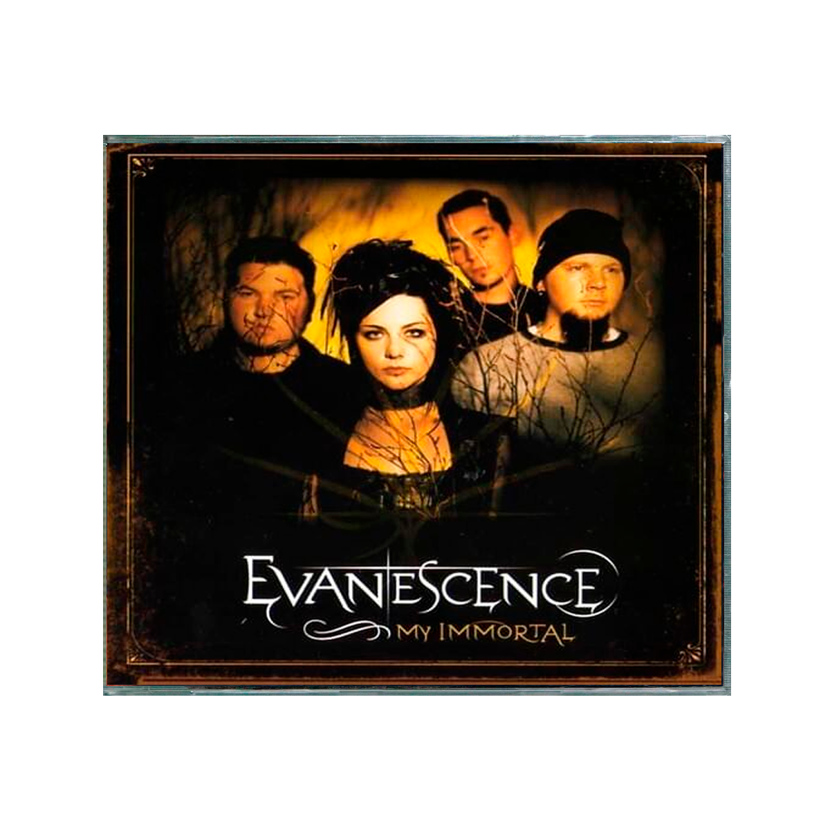 Evanescence My Immortal cd single