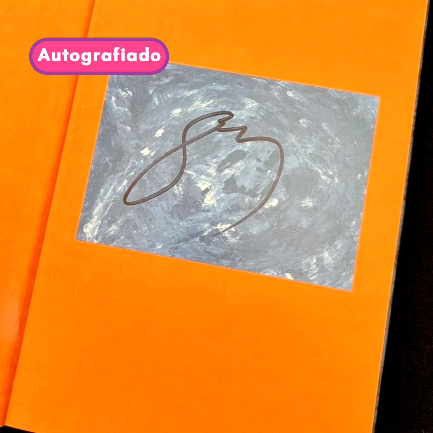 Snow Patrol The Forest Is The Path Hardback Book Autografiado