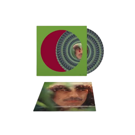 George Harrison – George Harrison Vinilo Zoetrope Exclusivo Record Store Day Black Friday 2026