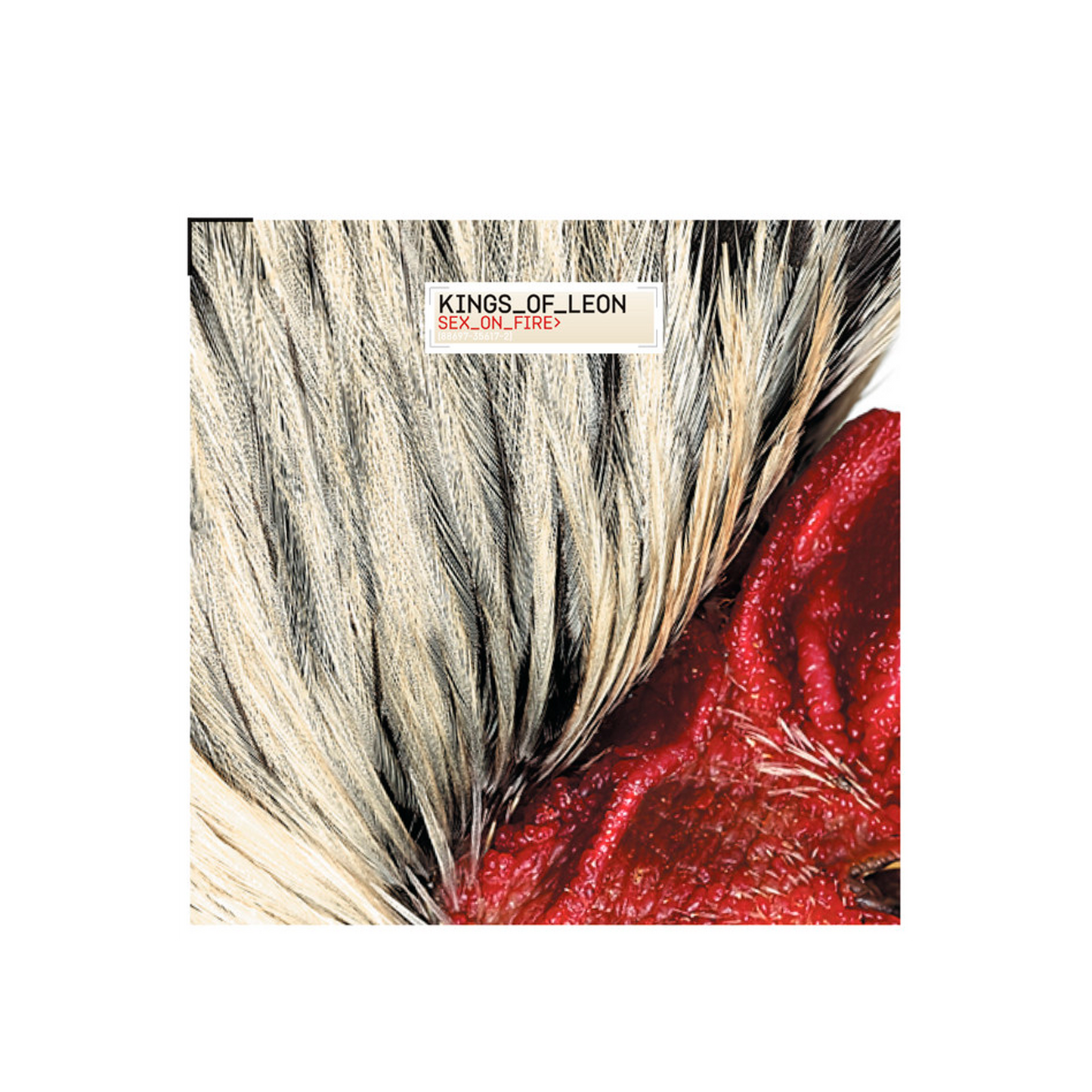 Kings of Leon Sex on Fire CD Single