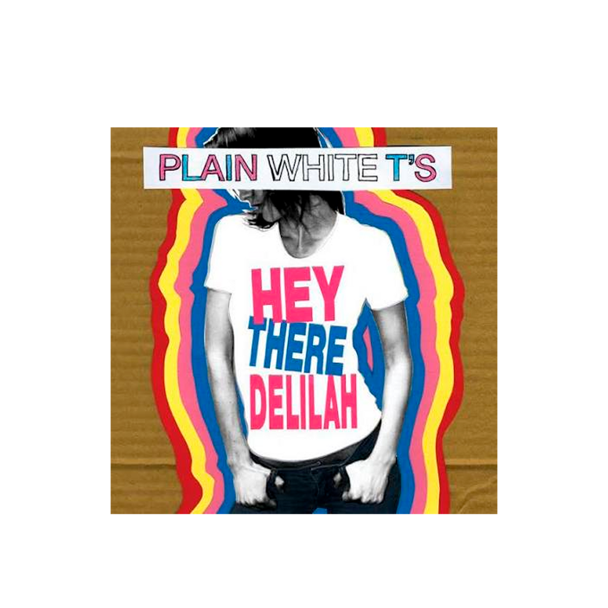 Plain White T's Hey There Delilah CD Single