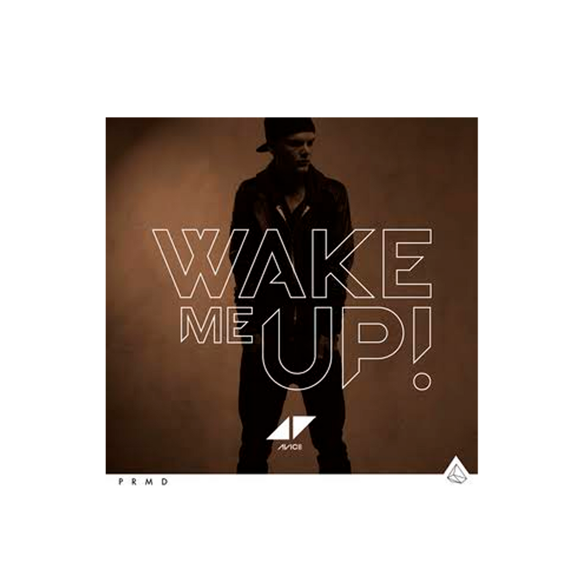 Avicii Wake Me Up Cd Single
