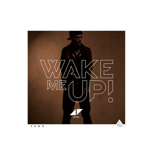 Avicii Wake Me Up Cd Single